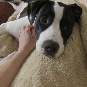 Meet your Posher, Brittany